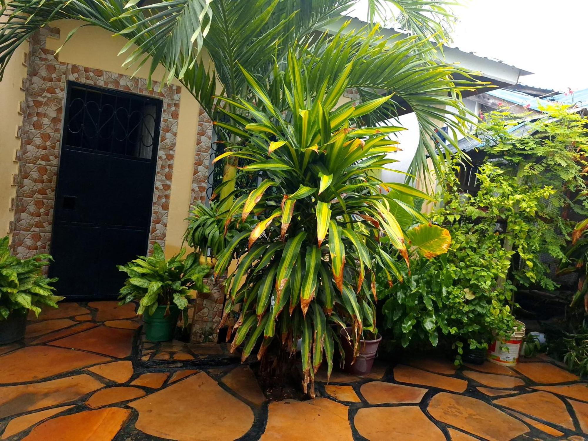 Mount Zion Guest House, Mtwapa Mtomondoni Момбаса Екстериор снимка